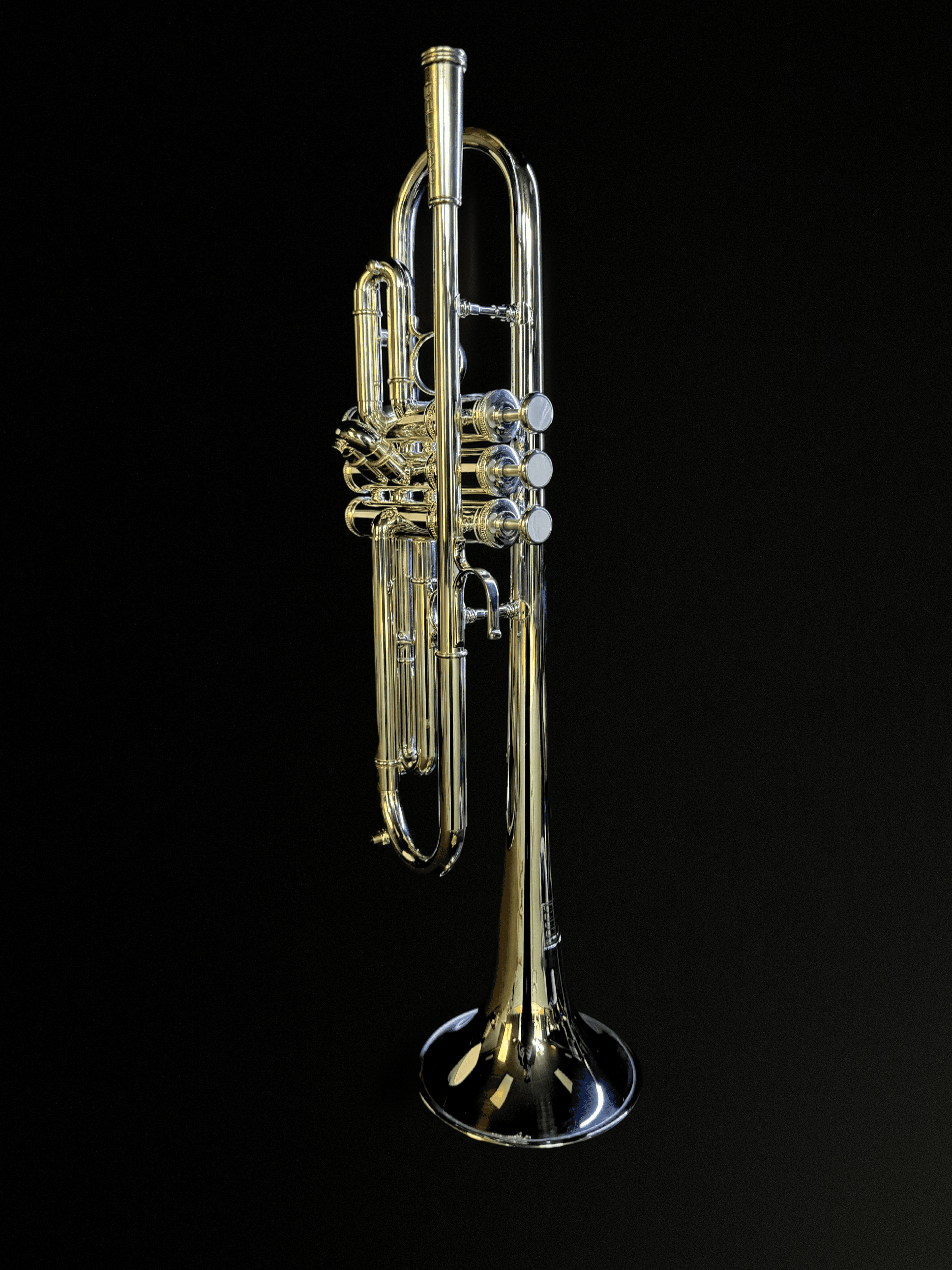 Commercial Model