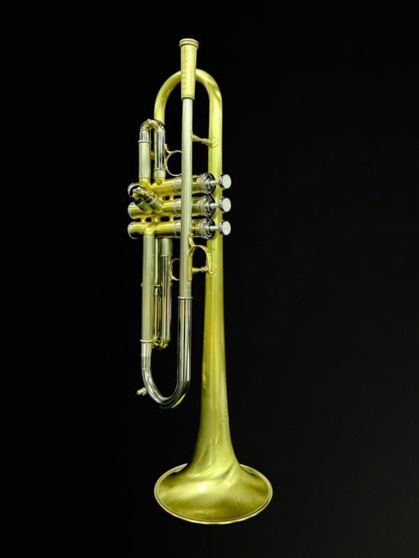Signature Model