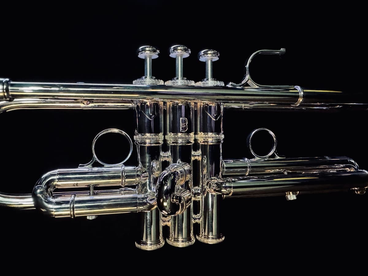 The Bellara Commercial Model