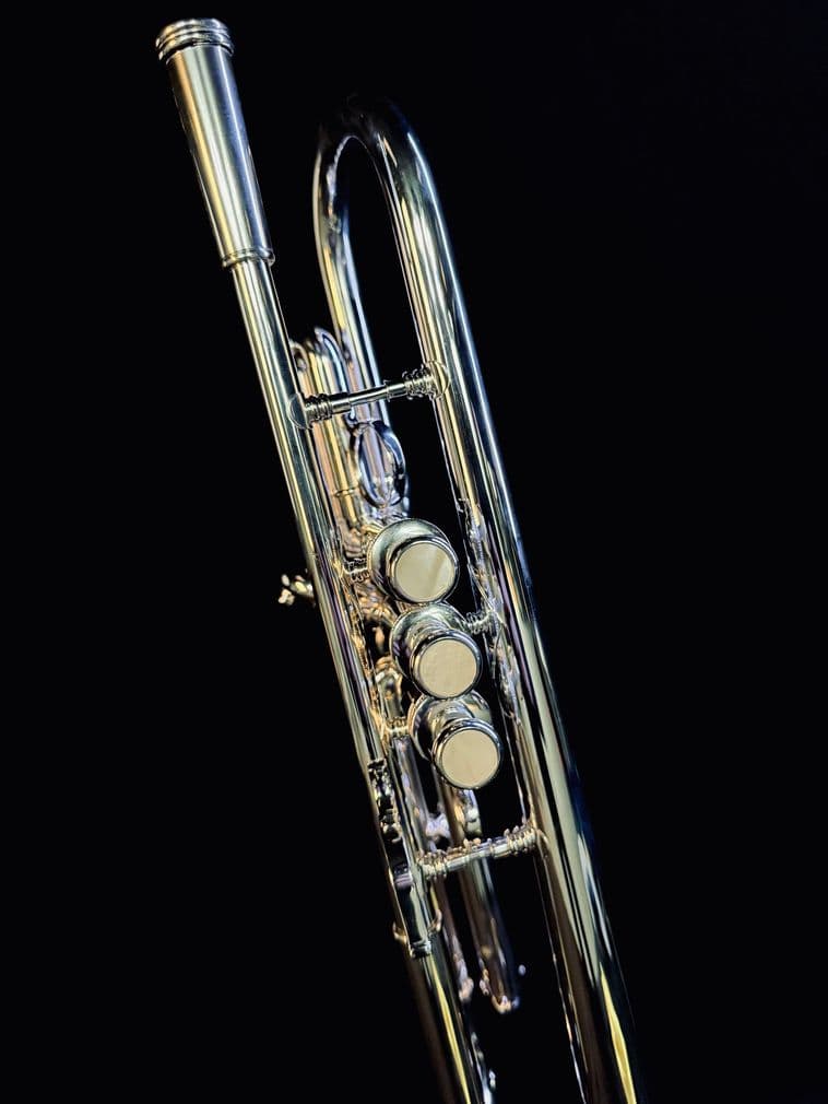 Trumpet Detail