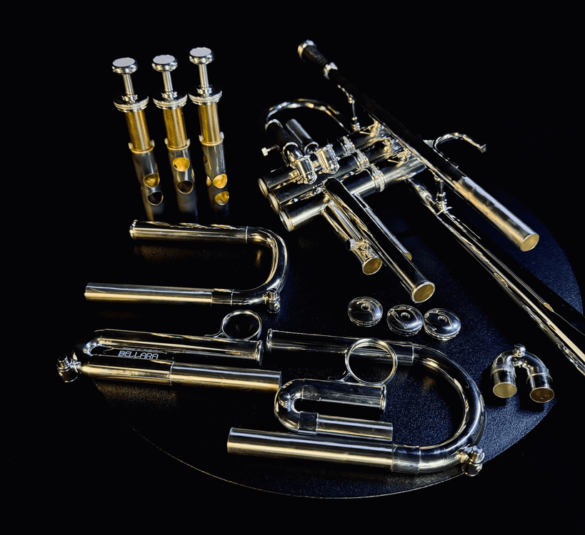 Professional Trumpet Case